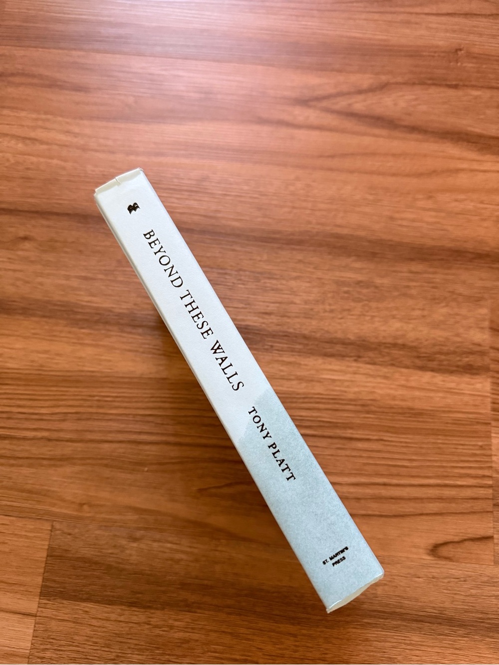 'Beyond These Walls'  Book